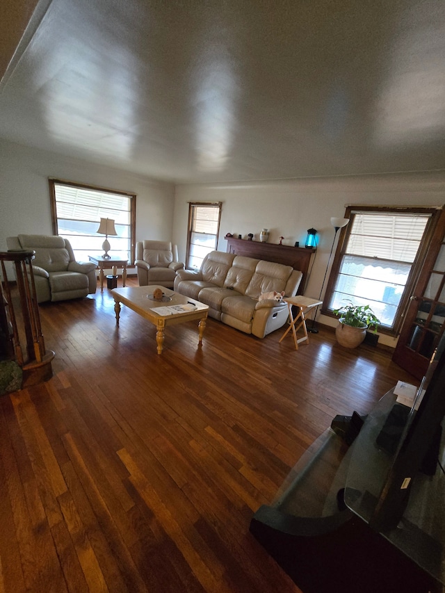 living room featuring wood-type flooring