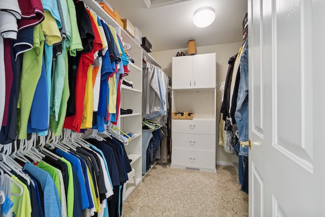 view of spacious closet