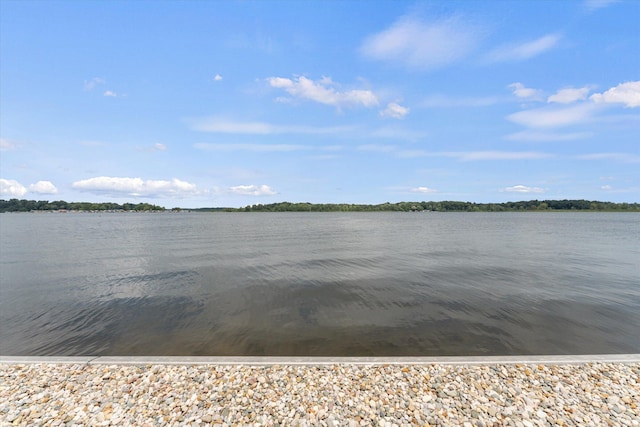 view of water feature