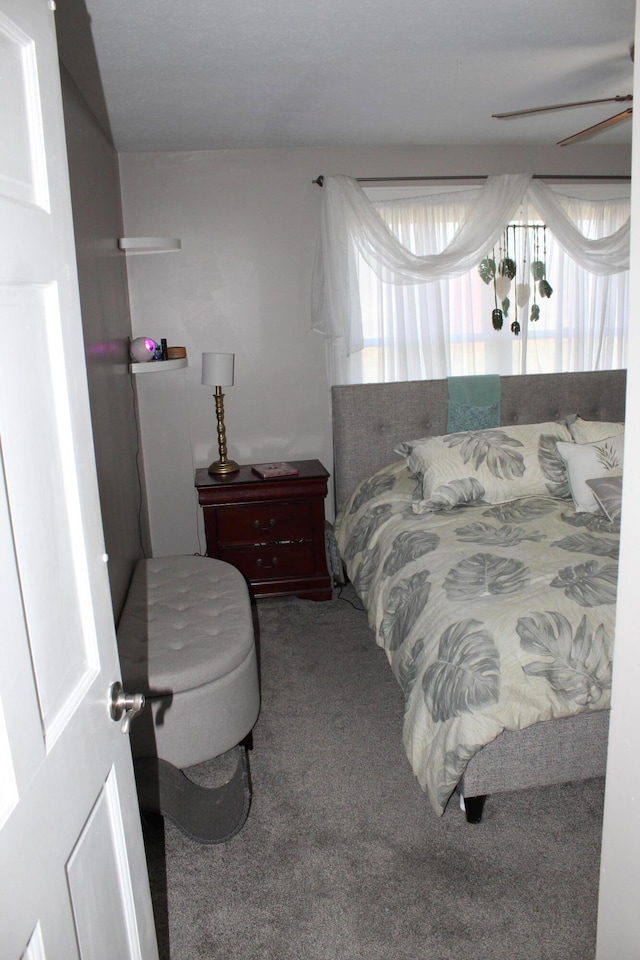 bedroom featuring carpet