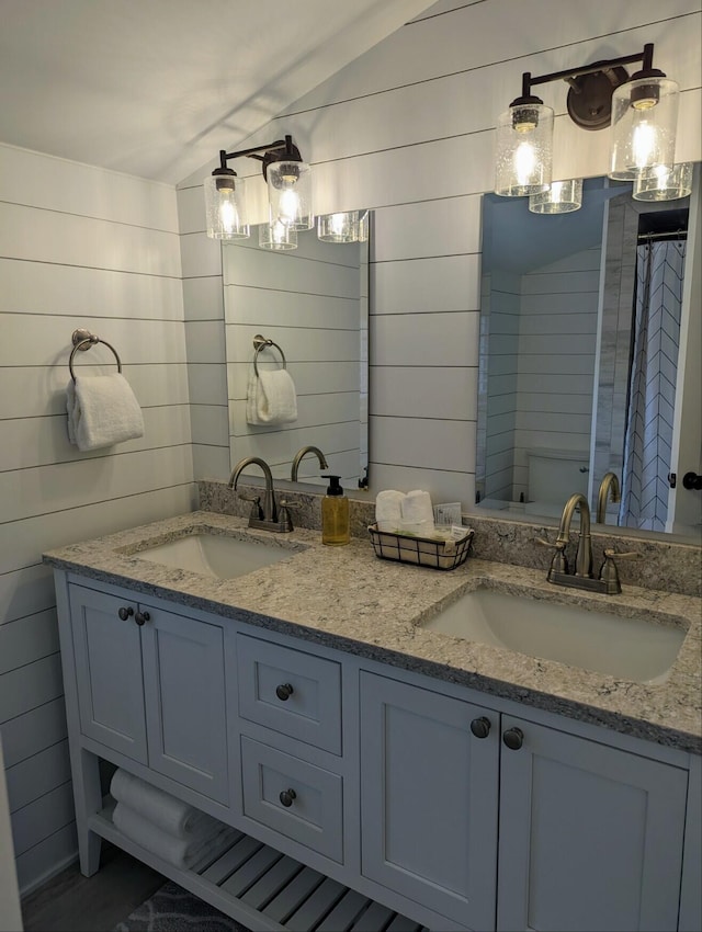 bathroom with double vanity, wood walls, toilet, and a sink