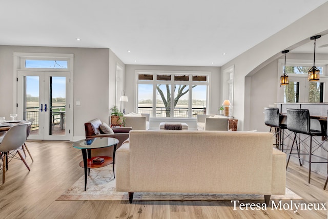 living area featuring a healthy amount of sunlight, french doors, and light wood-style flooring