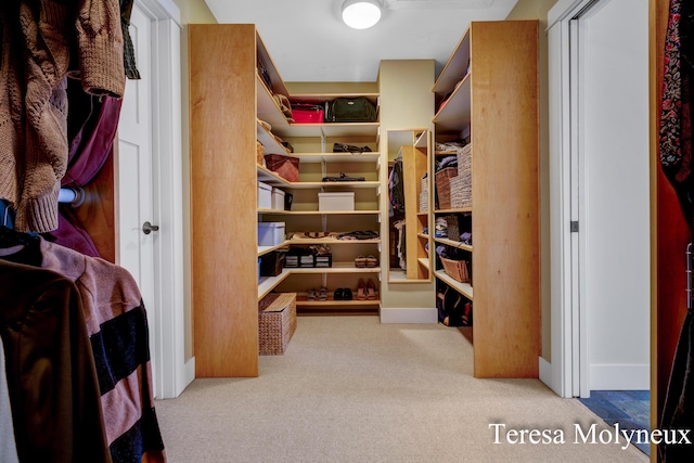 walk in closet featuring carpet floors