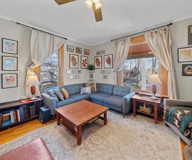 living area with a wealth of natural light, ornamental molding, and wood finished floors