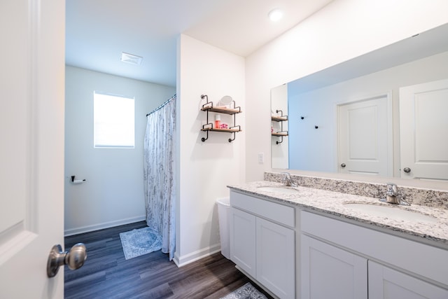 bathroom with double vanity, wood finished floors, baseboards, and a sink