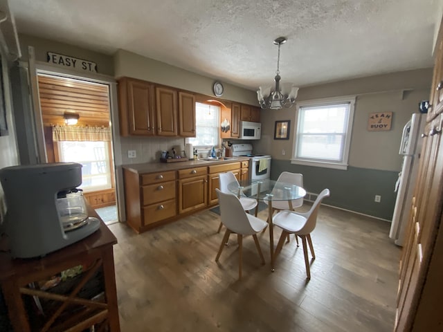 dining room with a notable chandelier, wood finished floors, and a healthy amount of sunlight