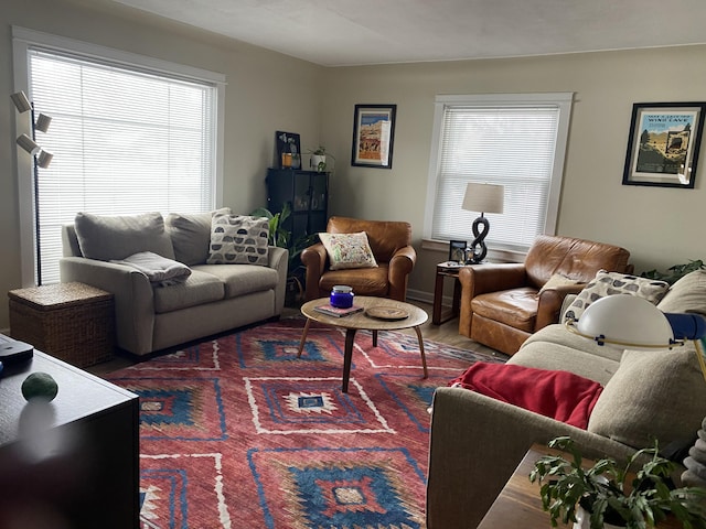 living room featuring wood finished floors