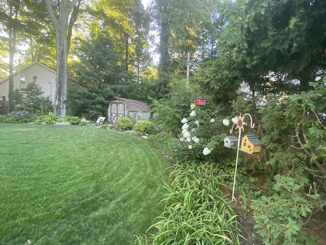 view of yard with an outdoor structure and a shed