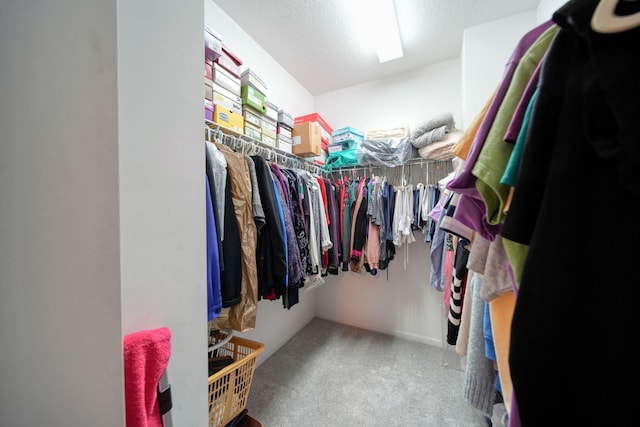 spacious closet featuring carpet flooring