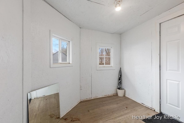 unfurnished room featuring wood finished floors and a healthy amount of sunlight