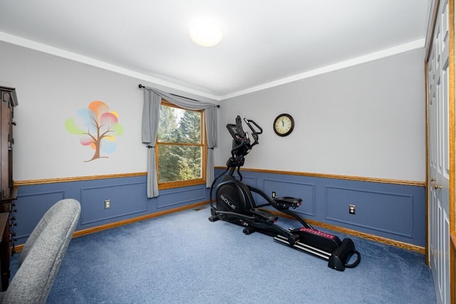 exercise room with a wainscoted wall, ornamental molding, and carpet floors