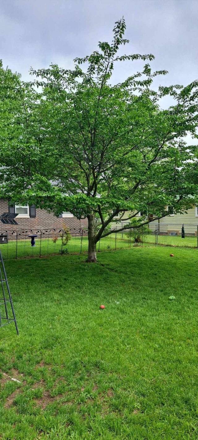 81 S Maple St, White Cloud, MI 49349 - view of yard