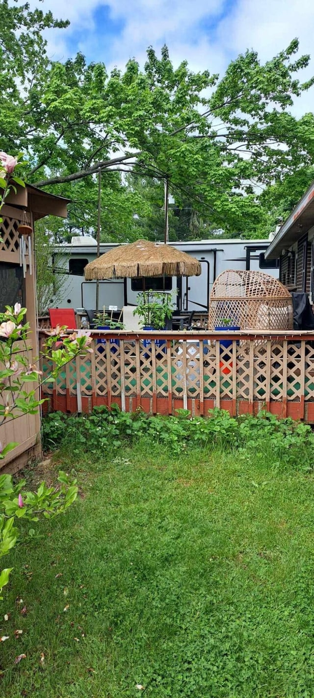 81 S Maple St, White Cloud, MI 49349 - view of yard