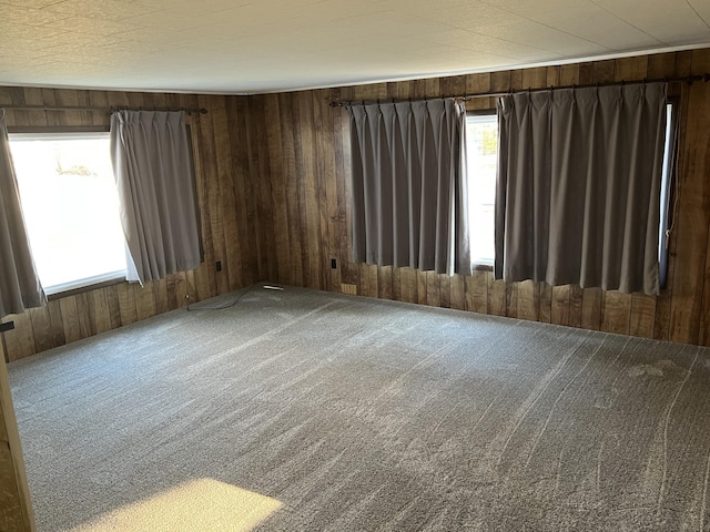 carpeted empty room featuring wood walls