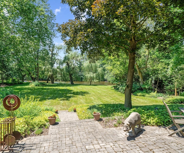 1055 Cedar Bend Dr, Ann Arbor, MI 48105 - photo 82