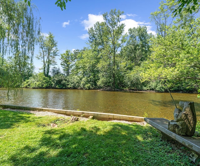 1055 Cedar Bend Dr, Ann Arbor, MI 48105 - photo 86