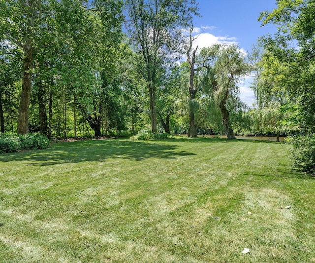 1055 Cedar Bend Dr, Ann Arbor, MI 48105 - photo 87