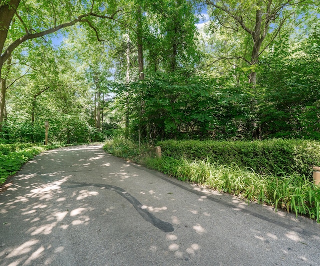 1055 Cedar Bend Dr, Ann Arbor, MI 48105 - photo 4