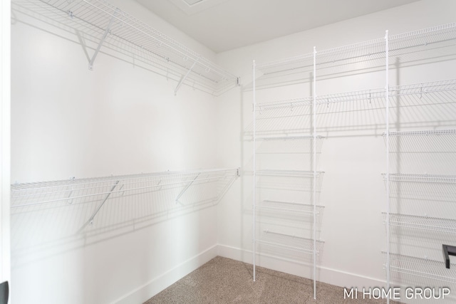 spacious closet with carpet flooring