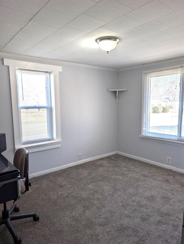 carpeted home office with baseboards, a healthy amount of sunlight, and ornamental molding