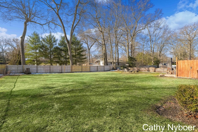 view of yard featuring a fenced backyard