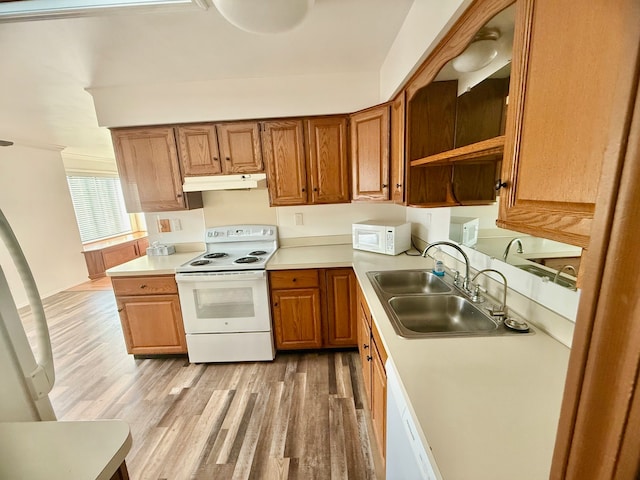 kitchen with light wood-type flooring, under cabinet range hood, a sink, white appliances, and light countertops