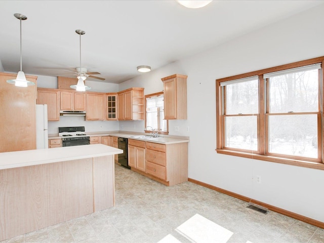 kitchen with light brown cabinets, a sink, freestanding refrigerator, range with gas cooktop, and dishwasher