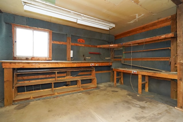 basement with a workshop area