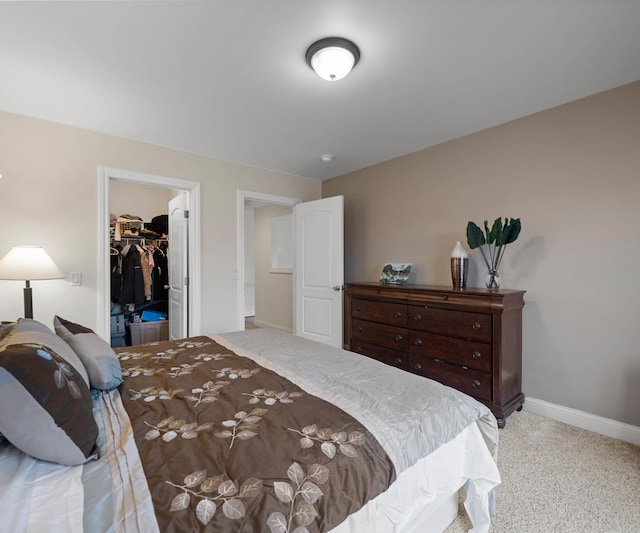 bedroom featuring baseboards, carpet floors, a closet, and a walk in closet