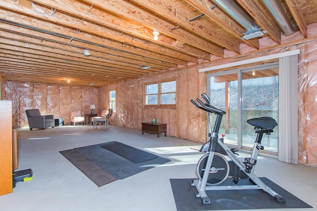 exercise room with a wealth of natural light