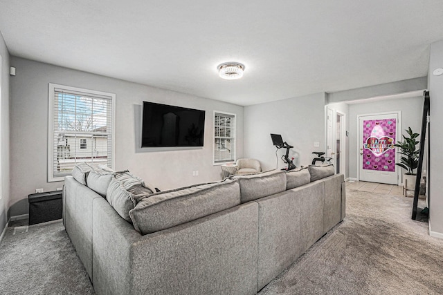 living area featuring baseboards and carpet