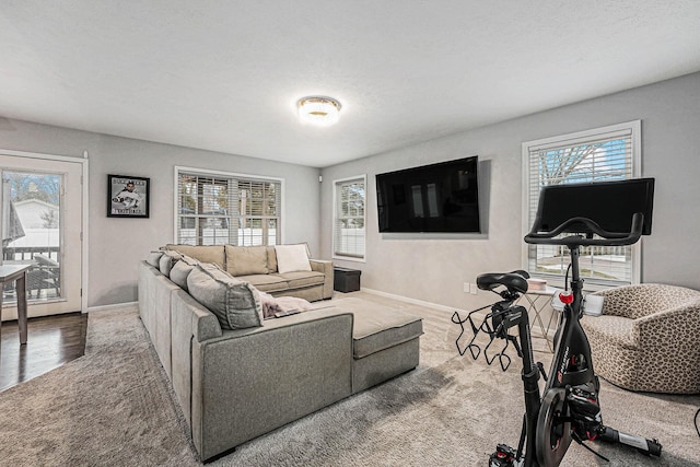 living room with carpet and baseboards