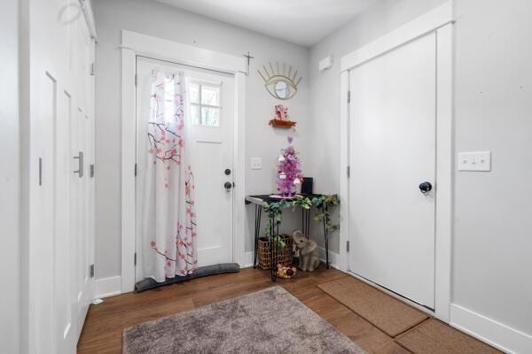 entryway featuring wood finished floors