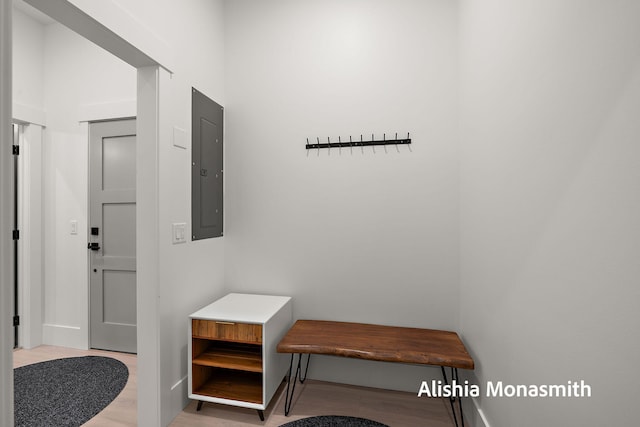 300 Washington Ave Unit 1, Grand Haven, MI 49417 - foyer entrance featuring electric panel and light wood-style floors