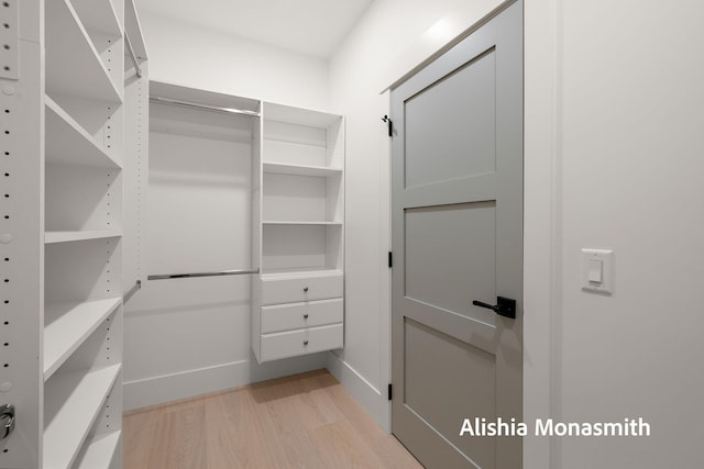 300 Washington Ave Unit 1, Grand Haven, MI 49417 - walk in closet with light wood-style floors