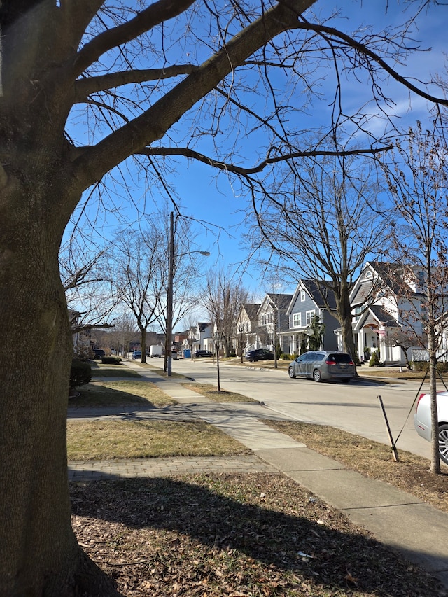 view of yard featuring a residential view