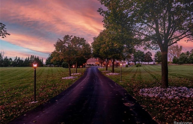 view of road with aphalt driveway and street lighting