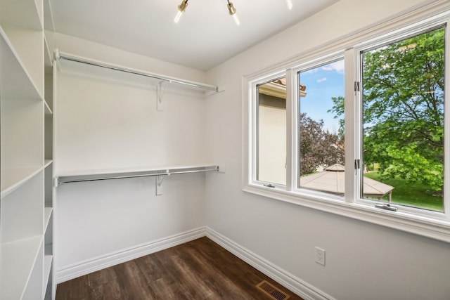 walk in closet featuring visible vents and dark wood-type flooring