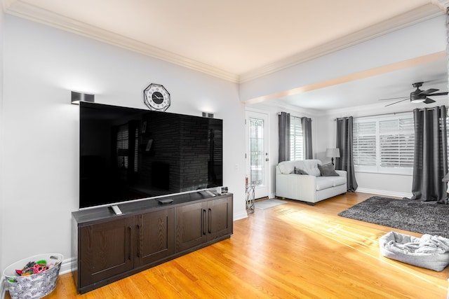 living area featuring a ceiling fan, light wood-style floors, baseboards, and ornamental molding