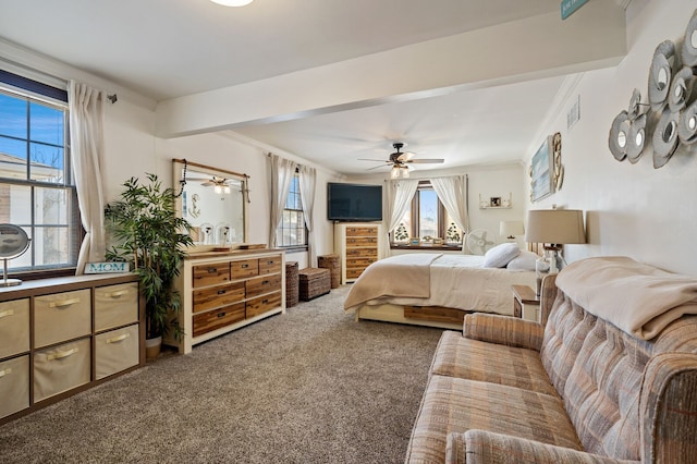 carpeted bedroom with visible vents, ceiling fan, and ornamental molding