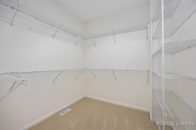 spacious closet featuring visible vents and carpet flooring