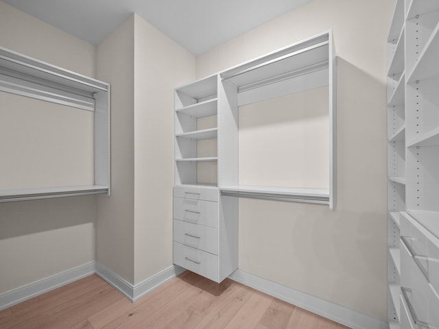 spacious closet featuring light wood finished floors