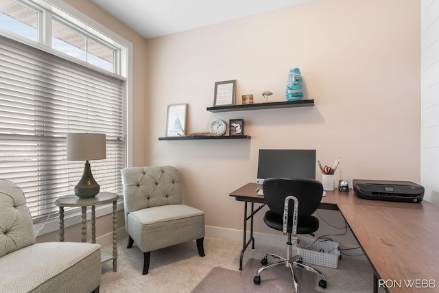 home office with baseboards