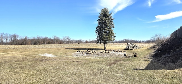 view of yard with a rural view