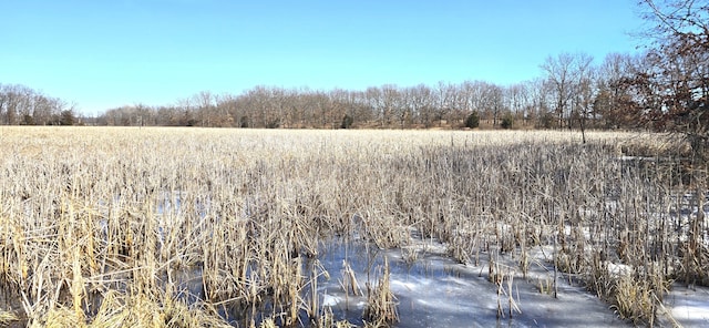 view of nature featuring a rural view