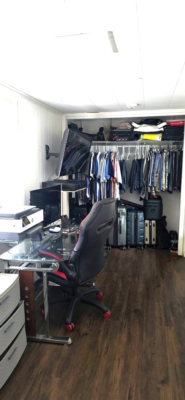 spacious closet featuring wood finished floors