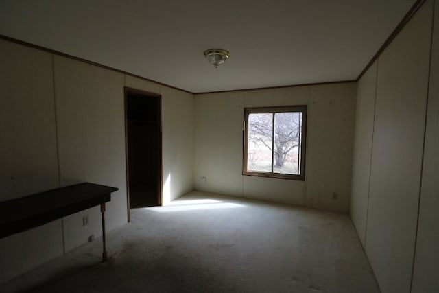 spare room with carpet floors and ornamental molding