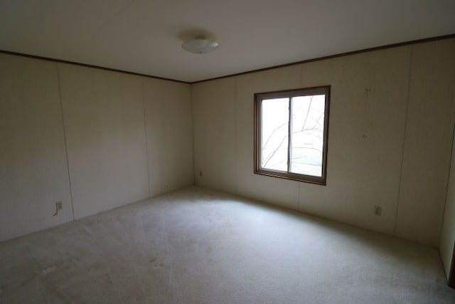 carpeted empty room with crown molding