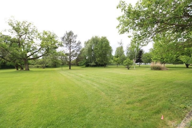 7464 Jennings Rd, Swartz Creek, MI 48473 - view of grassy yard with view of scattered trees