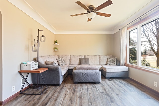 living area featuring ceiling fan, baseboards, wood finished floors, and crown molding